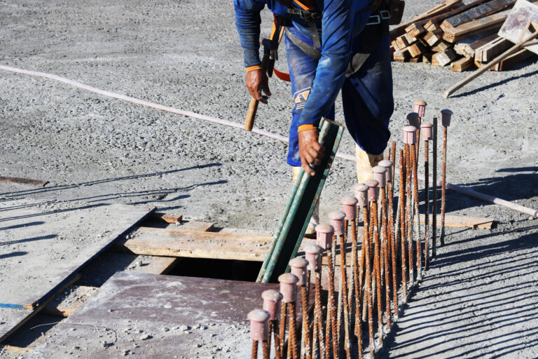 AFV - SERRA DA CANASTRA